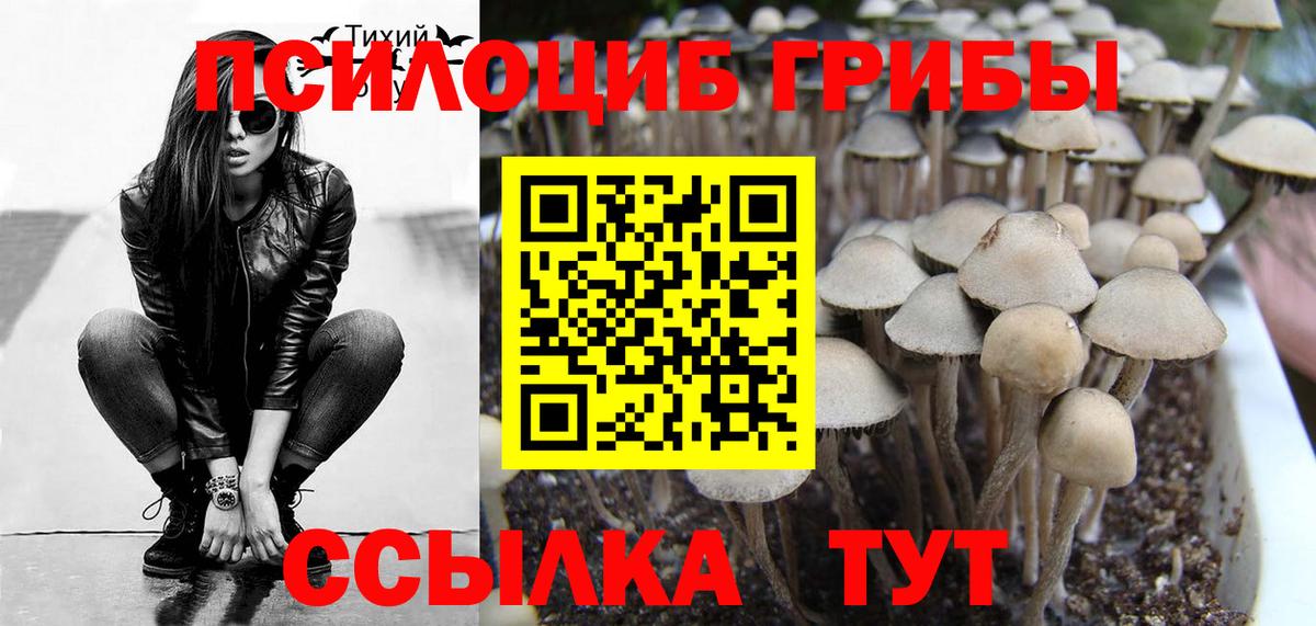 Галлюциногенные грибы Magic Shrooms Стерлитамак